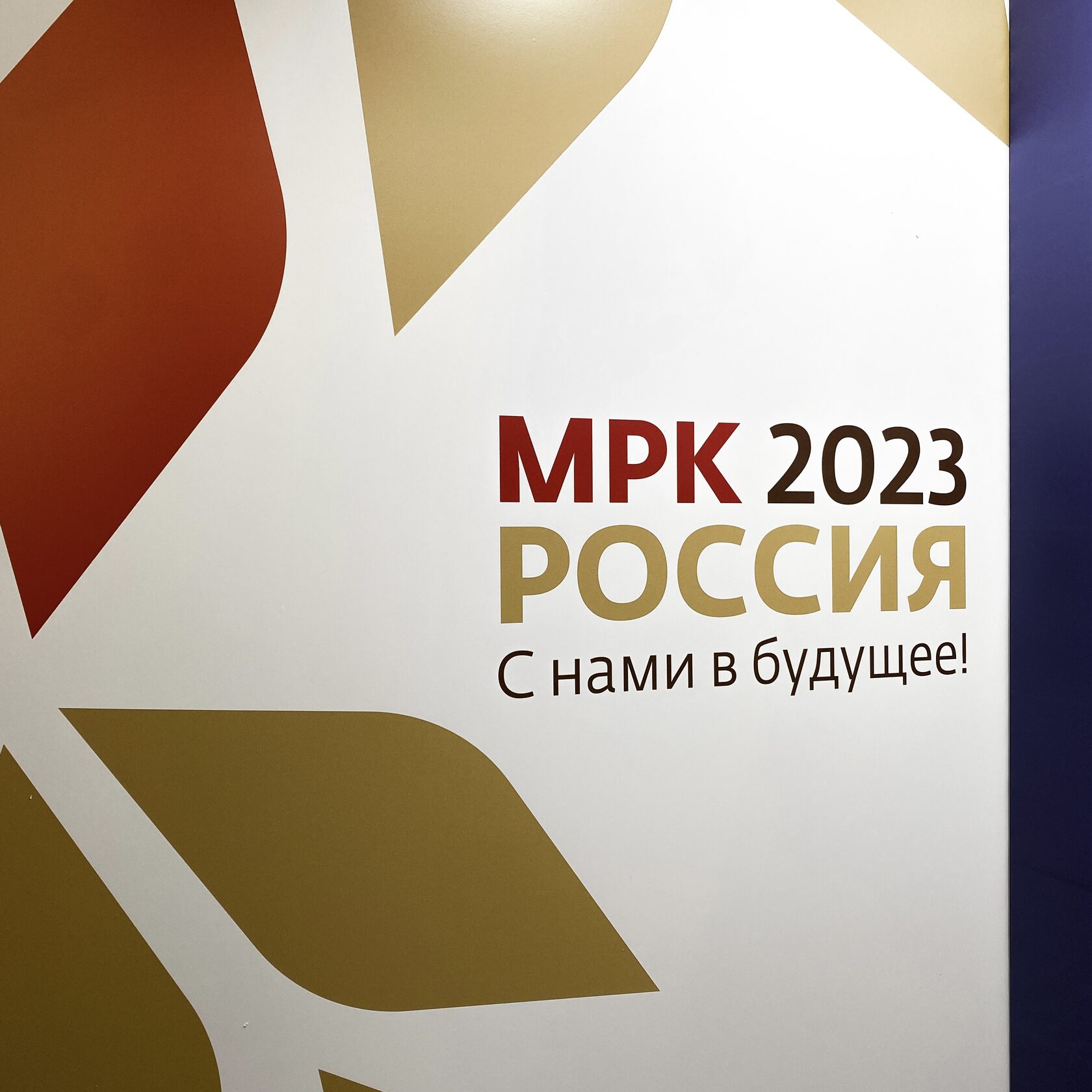Raymed Group на МРК Россия 2023